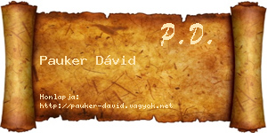 Pauker Dávid névjegykártya